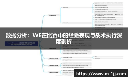 数据分析：WE在比赛中的经验表现与战术执行深度剖析